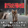 捨てられた子猫の生涯