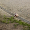 サッカーは人生そのもの。だからこそ「関係性」を育てる