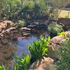 Grapevine Botanical Gardens：ついでにちょっと楽しめる公園