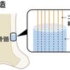 骨折予防に骨質改善　コラーゲンが鉄筋の役割