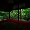 京都・花園 - 妙心寺桂春院の新緑
