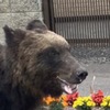 札幌のあの日の熊騒動。。そして昨日はこんな１日。