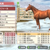 ３歳牝馬で宝塚記念のみＧ１制覇！自家製配合産駒！ブルックスファール（Swtich版ダービースタリオン204）