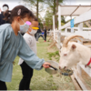 千葉市動物公園へ行ってきました！モノレールもBBQもエサやり体験！たっぷり遊べてリフレッシュしました