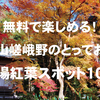無料で楽しめる！嵐山嵯峨野のとっておきの穴場紅葉スポット10選