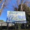 モネ　睡蓮のとき　国立西洋美術館　2025.1