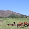 蒜山登山！初心者におすすめの夏の登山コースは？