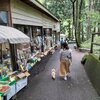 夏の栃木群馬_吹割の滝