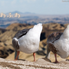 きっと私だけ（？）じゃない　萌えポイント