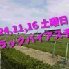 2024,11,16 土曜日 トラックバイアス予想 (東京競馬場　京都競馬場　福島競馬場)
