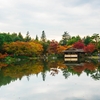 【写真複製・写真修復の専門店】お天気を加工　東京・昭和記念公園