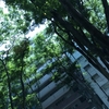 あなたまで責めないで
