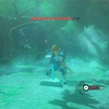 【ゼルダの伝説BotW】１５ ハート10個目マスターソードやいかに そしてゲルド地方へ