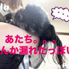 ビビりsola園長がBaby怪獣から拝借した物と急遽病院へ走った話