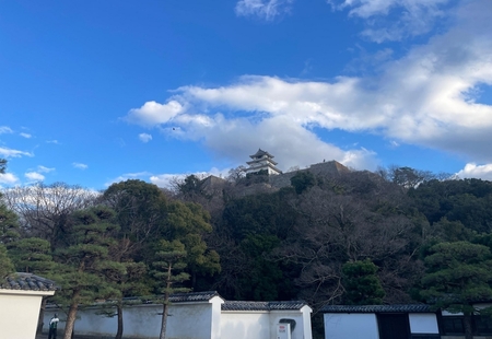 うどんの流体力学者たち〜見えない丸亀を求めて