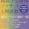 ソマチット　２３日追稿