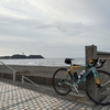 夏をあきらめてポタ