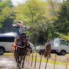 初めて流鏑馬を撮る！（伊賀岡八幡宮）