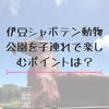 【2020最新】伊豆シャボテン動物公園に子連れで行ったよ♡割引クーポン情報や所要時間