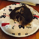 ちょっと一息いけるぅよ