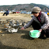 カモに手渡しで餌を与える．．．