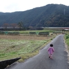 朝から田んぼに連れて行く