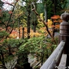 日本　谷汲山華厳寺の今年の紅葉　その2 