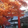 下鴨神社