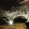 夜桜　同級会　本屋大賞