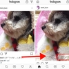  Instagramの投稿写真が切れてしまう