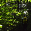 大暑の三辻山遊山　帰り道