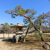 佐倉 旧堀田正倫庭園