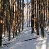 裏山雪山トレッキング