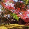 【最勝寺】　美しい紅葉と苔庭が広がる京都気分を味わえる茨城のお寺