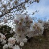 雨の金曜日