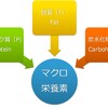 筋肉をつけるカギ「栄養素」の話