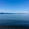 初夏の愛しの湖国にて 湖の幸と山の幸