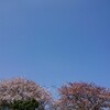 4月10日＿自然に触れる