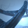 3つの視点からの「ジャンクDNA」: いくつかの重要な引用