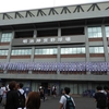 〖聖地〗乃木坂46神宮球場ライブ2019初日レポ　層が厚いからこそ可能なセットリストだった