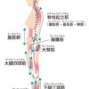 腰痛でやっておきたい3つのセルフケア