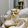 るるちゃんとの時間大事に。