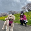 道に迷って21.24km〜3月25日〜