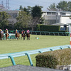 【競馬】阪神競馬場 OP 若葉S