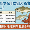 関西で6月に狙える魚はコレ！釣果別・地域別早見表【保存版】