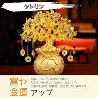 金運アップの定番！MYONEENの「招財樹 金のなる木」レビュー
