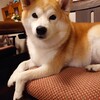 いと子さん本日9歳になりました！