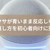 アレクサが青いまま反応しない？原因と直し方を初心者向けに完全解説
