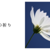 少女の祈り