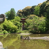 阿弥陀如来坐像（九体阿弥陀）　浄瑠璃寺